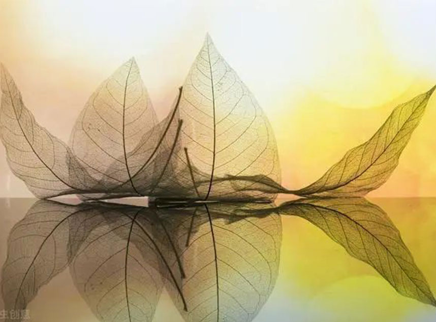 玻纖板廠家，防靜電玻纖板，F(xiàn)R4玻纖板，環(huán)氧板，諾方斯復(fù)合材料，